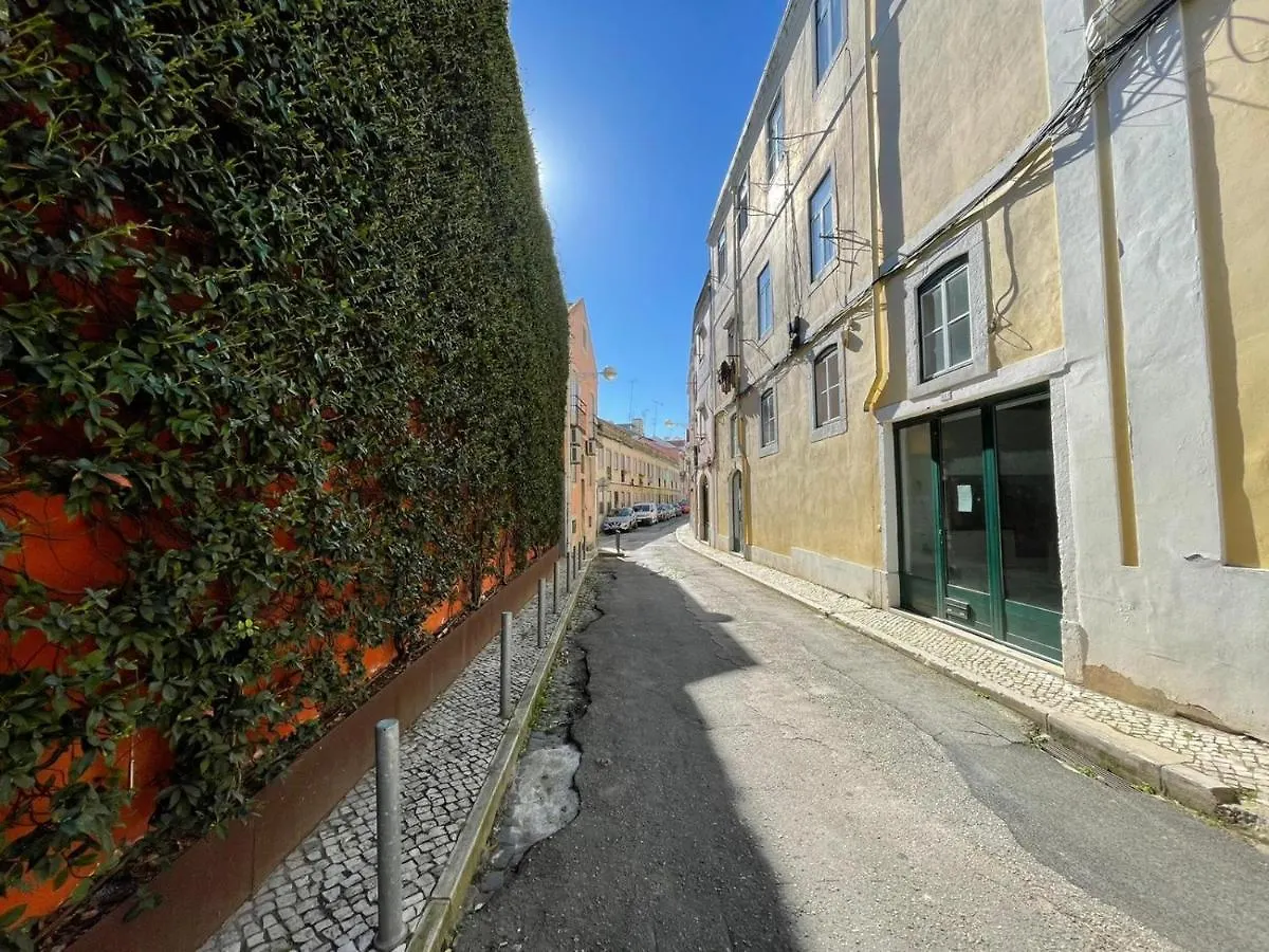 شقة Lisboa The Star Of Olival City Retreat