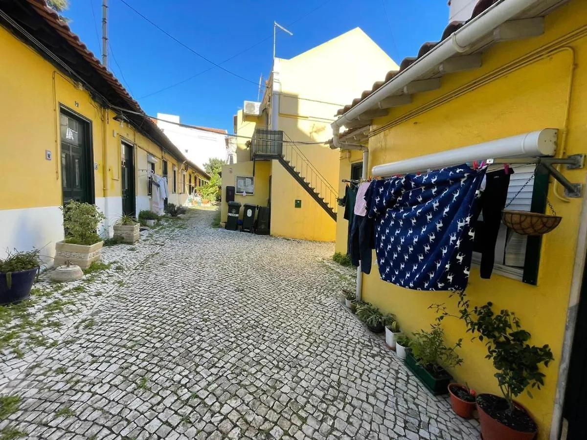 Lisboa The Star Of Olival City Retreat